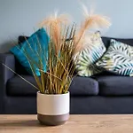 Park View House * ويتبي